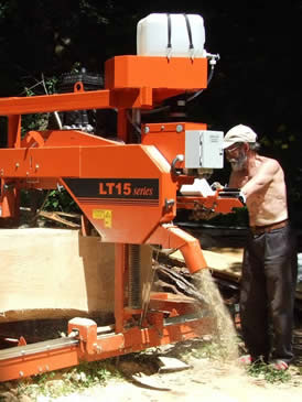 Die Ausbeute aus dem 1,3 Fm-Stamm gibt's im Bild unten in der Mitte.